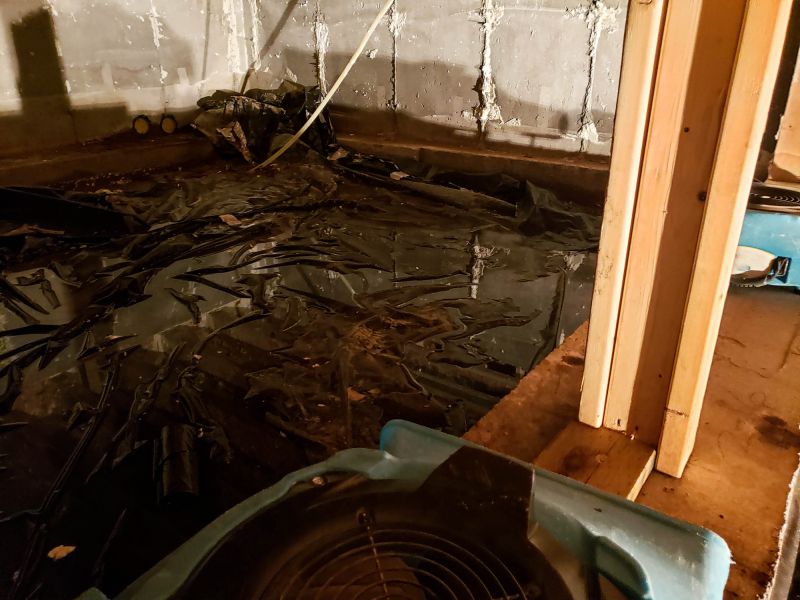 Encapsulated Crawlspace with Dehumidifier